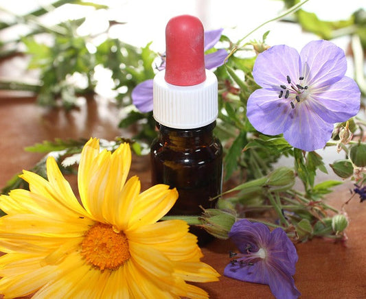 Principles of homoeopathy